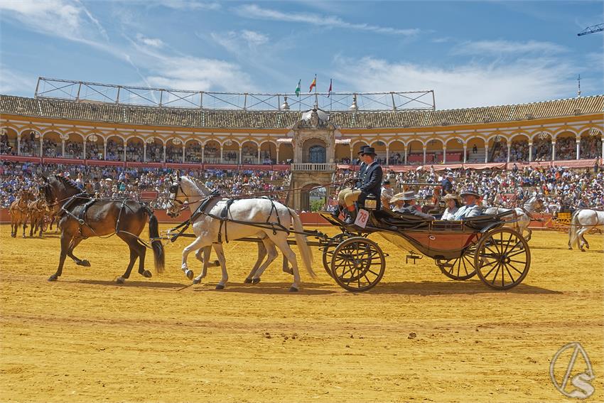 fjmontiel_XL_Exhibicion_Enganches_Sevilla_2026_DSC_9442_DxO