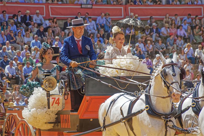 fjmontiel_XL_Exhibicion_Enganches_Sevilla_2026_DSC_9445_DxO