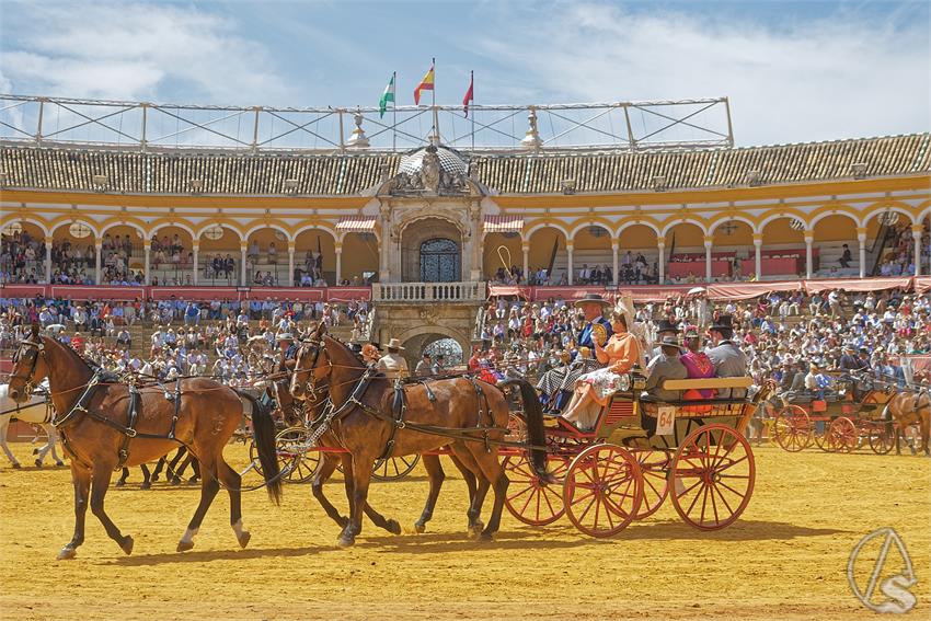 fjmontiel_XL_Exhibicion_Enganches_Sevilla_2026_DSC_9447_DxO