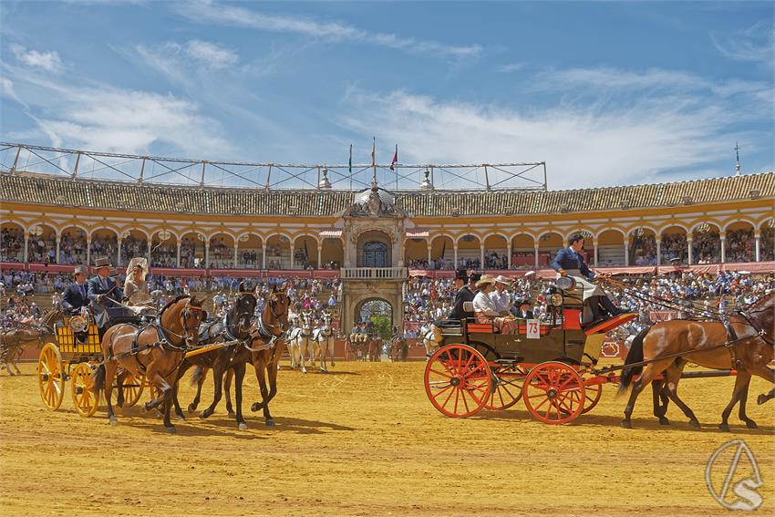 fjmontiel_XL_Exhibicion_Enganches_Sevilla_2026_DSC_9450_DxO