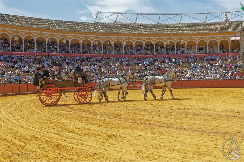 fjmontiel_XL_Exhibicion_Enganches_Sevilla_2026_DSC_9452_DxO