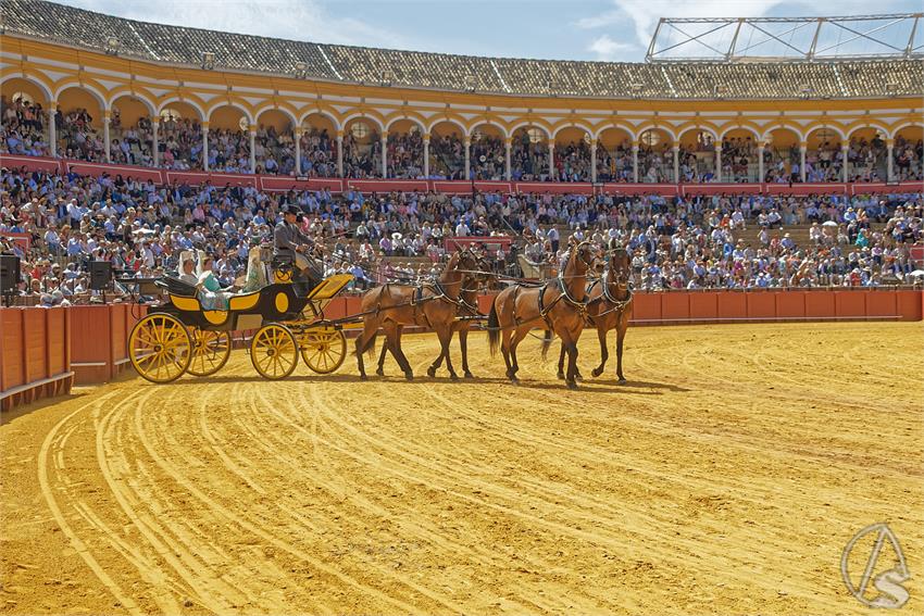 fjmontiel_XL_Exhibicion_Enganches_Sevilla_2026_DSC_9453_DxO