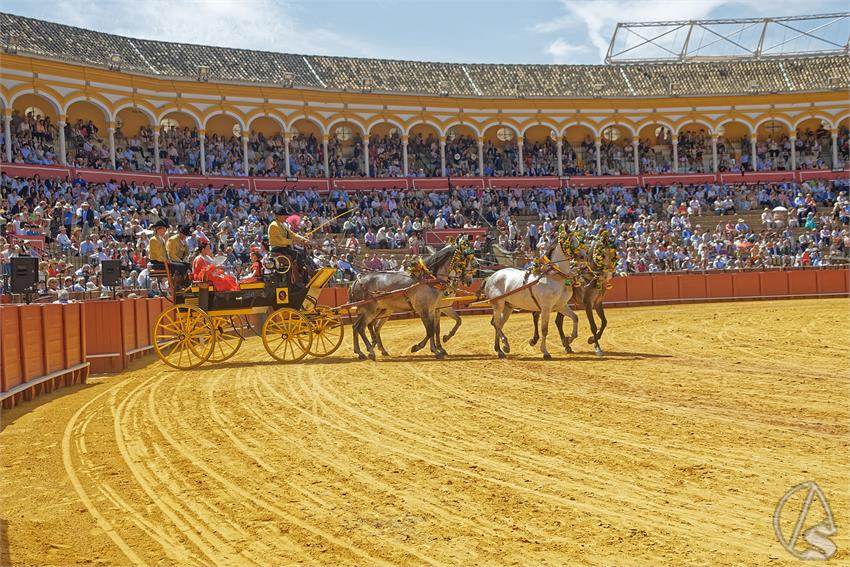 fjmontiel_XL_Exhibicion_Enganches_Sevilla_2026_DSC_9454_DxO
