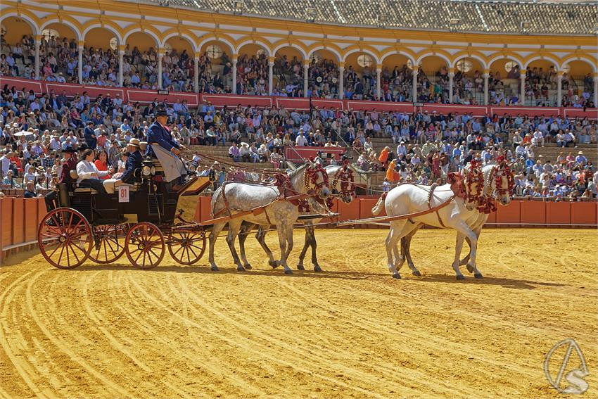 fjmontiel_XL_Exhibicion_Enganches_Sevilla_2026_DSC_9456_DxO
