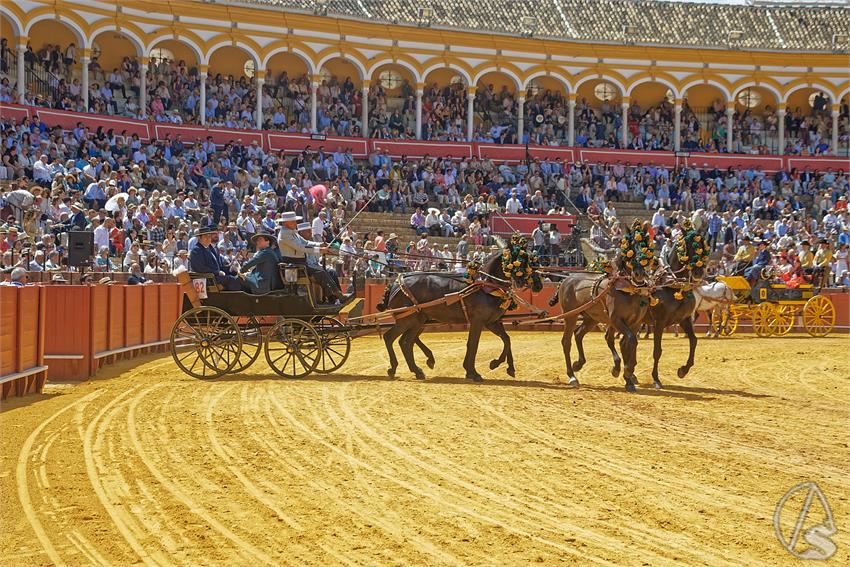 fjmontiel_XL_Exhibicion_Enganches_Sevilla_2026_DSC_9457_DxO
