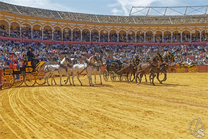 fjmontiel_XL_Exhibicion_Enganches_Sevilla_2026_DSC_9460_DxO
