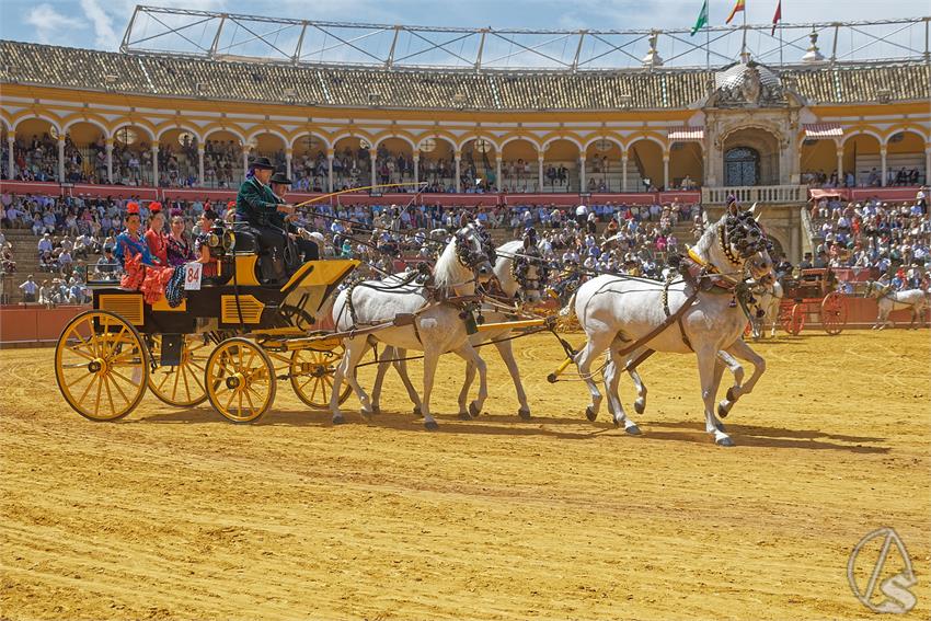 fjmontiel_XL_Exhibicion_Enganches_Sevilla_2026_DSC_9461_DxO