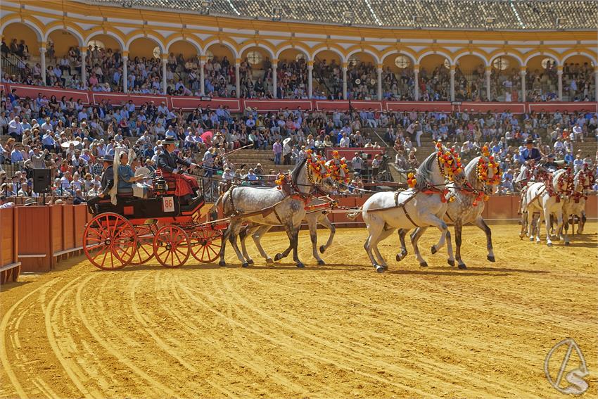 fjmontiel_XL_Exhibicion_Enganches_Sevilla_2026_DSC_9465_DxO