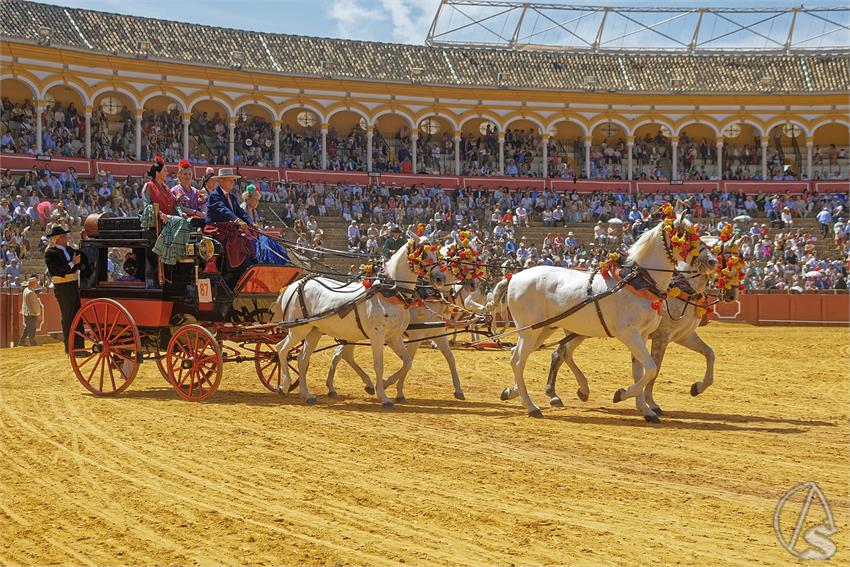 fjmontiel_XL_Exhibicion_Enganches_Sevilla_2026_DSC_9466_DxO
