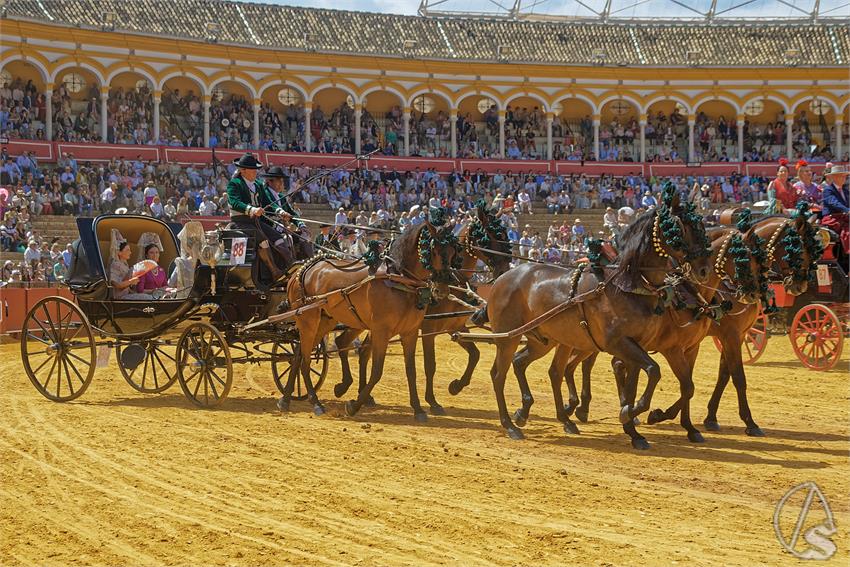 fjmontiel_XL_Exhibicion_Enganches_Sevilla_2026_DSC_9470_DxO