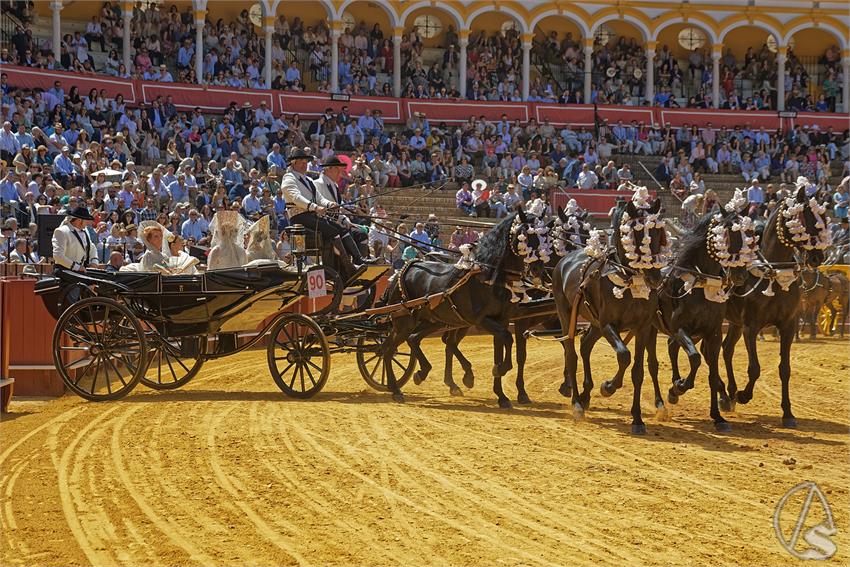 fjmontiel_XL_Exhibicion_Enganches_Sevilla_2026_DSC_9477_DxO