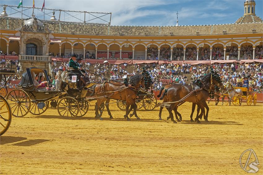 fjmontiel_XL_Exhibicion_Enganches_Sevilla_2026_DSC_9491_DxO
