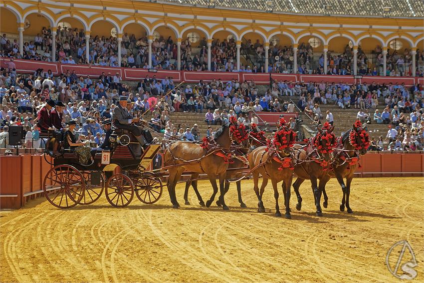 fjmontiel_XL_Exhibicion_Enganches_Sevilla_2026_DSC_9492_DxO