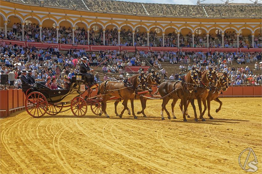 fjmontiel_XL_Exhibicion_Enganches_Sevilla_2026_DSC_9494_DxO