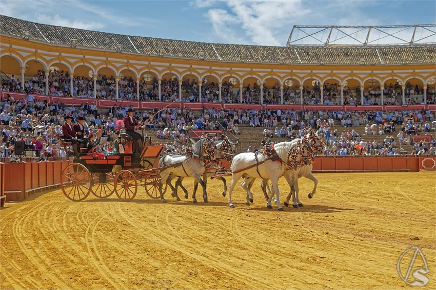 fjmontiel_XL_Exhibicion_Enganches_Sevilla_2026_DSC_9495_DxO