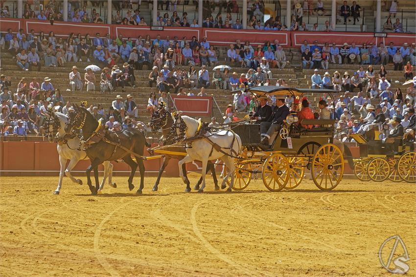 fjmontiel_XL_Exhibicion_Enganches_Sevilla_2026_DSC_9497_DxO