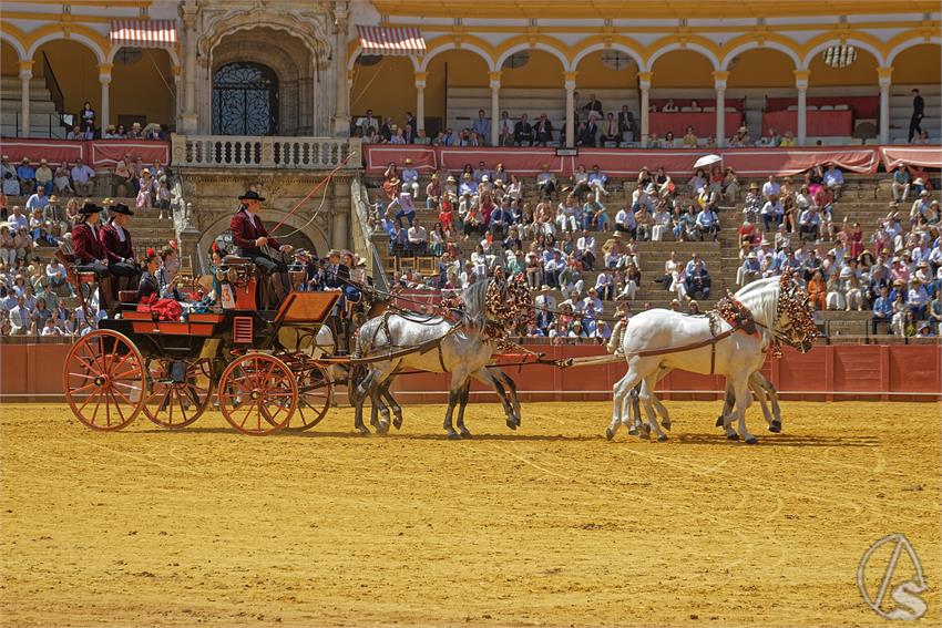 fjmontiel_XL_Exhibicion_Enganches_Sevilla_2026_DSC_9498_DxO