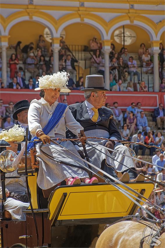 fjmontiel_XL_Exhibicion_Enganches_Sevilla_2026_DSC_9499_DxO