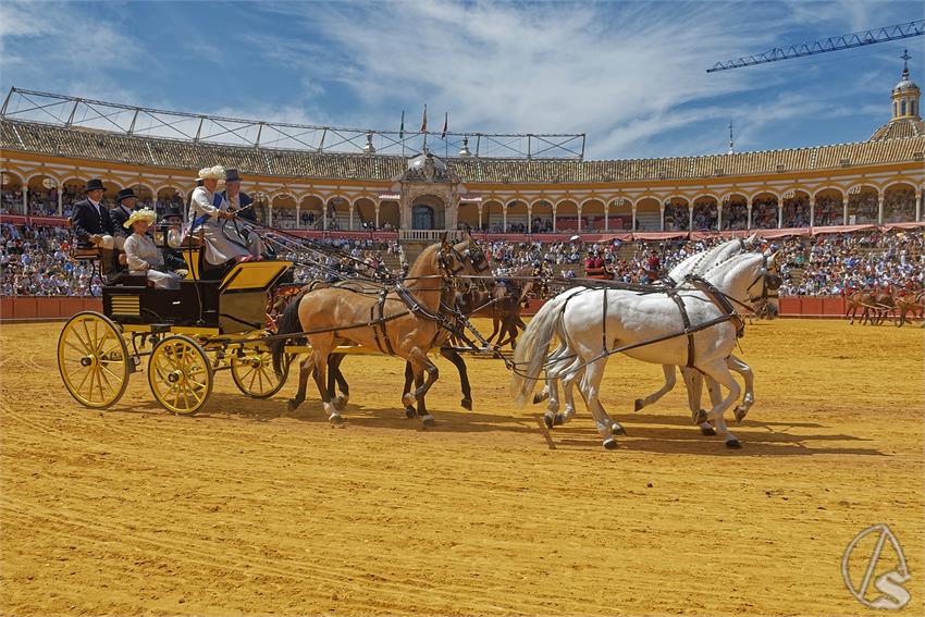 fjmontiel_XL_Exhibicion_Enganches_Sevilla_2026_DSC_9500_DxO