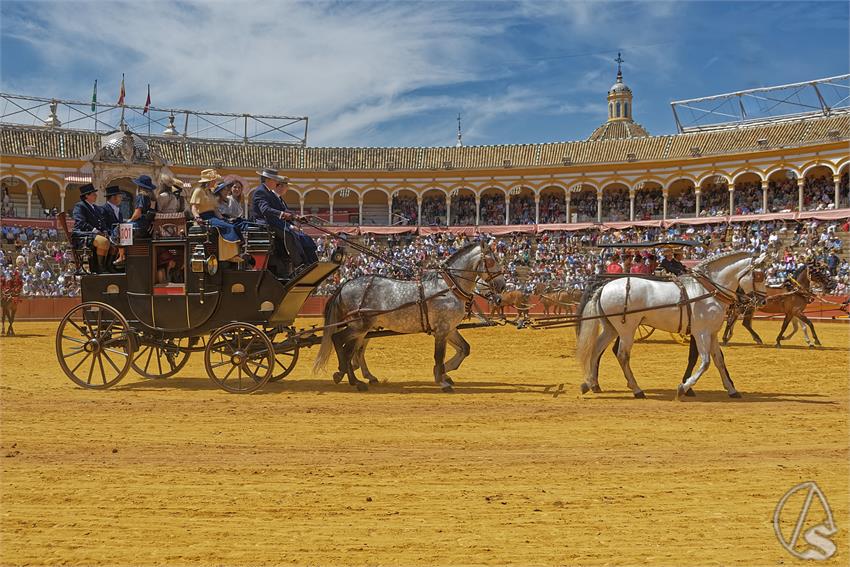 fjmontiel_XL_Exhibicion_Enganches_Sevilla_2026_DSC_9501_DxO
