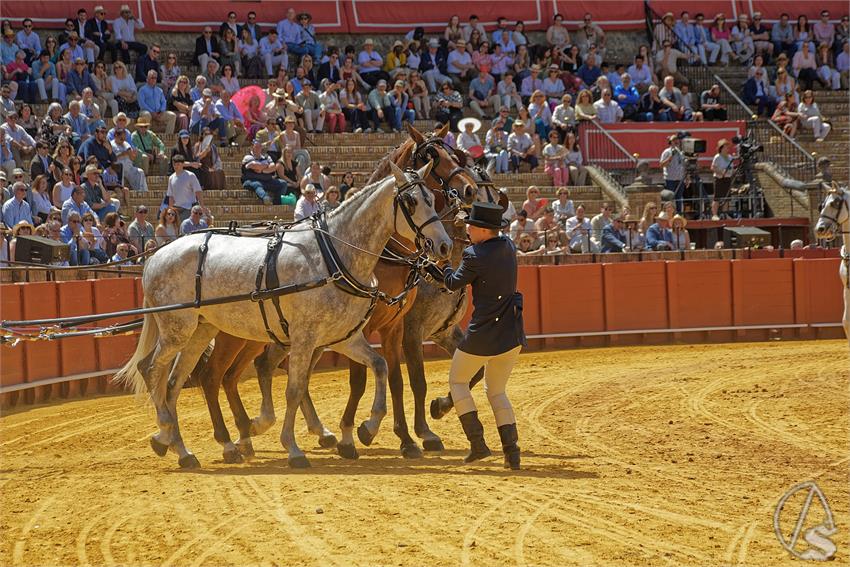 fjmontiel_XL_Exhibicion_Enganches_Sevilla_2026_DSC_9504_DxO