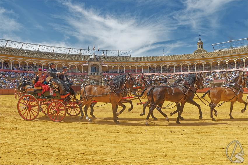 fjmontiel_XL_Exhibicion_Enganches_Sevilla_2026_DSC_9507_DxO