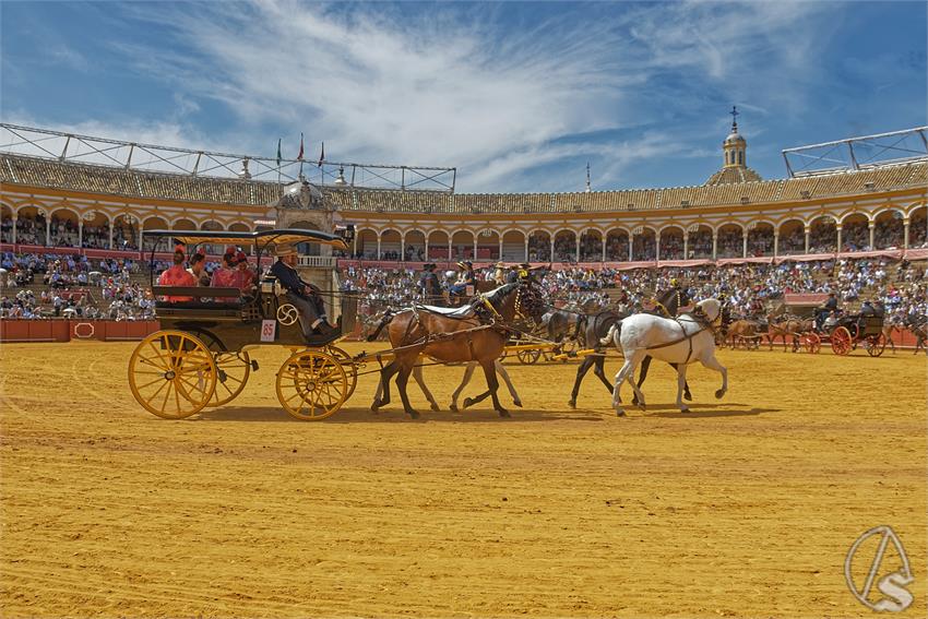fjmontiel_XL_Exhibicion_Enganches_Sevilla_2026_DSC_9508_DxO