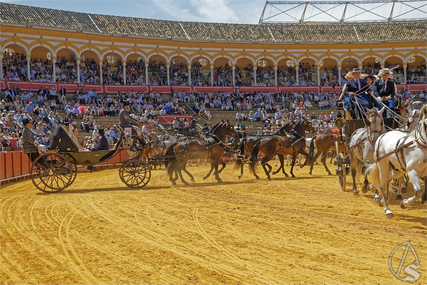 fjmontiel_XL_Exhibicion_Enganches_Sevilla_2026_DSC_9509_DxO