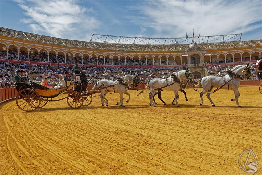 fjmontiel_XL_Exhibicion_Enganches_Sevilla_2026_DSC_9510_DxO