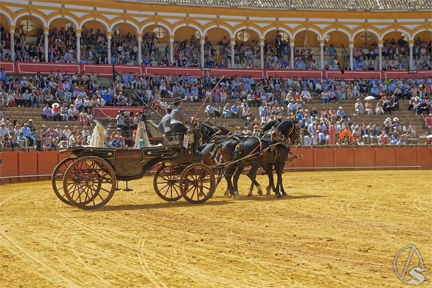 fjmontiel_XL_Exhibicion_Enganches_Sevilla_2026_DSC_9513_DxO