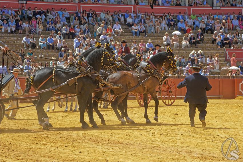 fjmontiel_XL_Exhibicion_Enganches_Sevilla_2026_DSC_9514_DxO