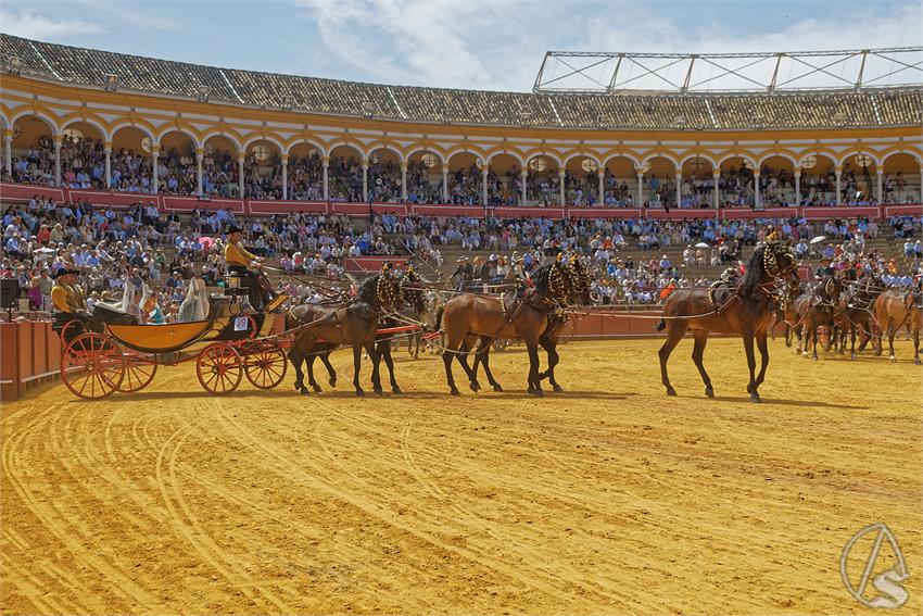 fjmontiel_XL_Exhibicion_Enganches_Sevilla_2026_DSC_9516_DxO