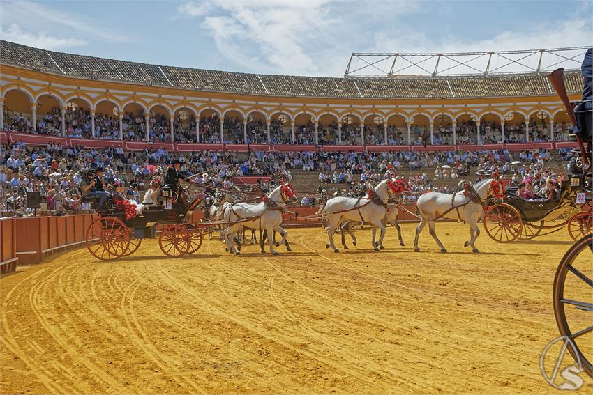 fjmontiel_XL_Exhibicion_Enganches_Sevilla_2026_DSC_9519_DxO
