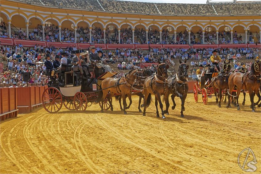 fjmontiel_XL_Exhibicion_Enganches_Sevilla_2026_DSC_9522_DxO