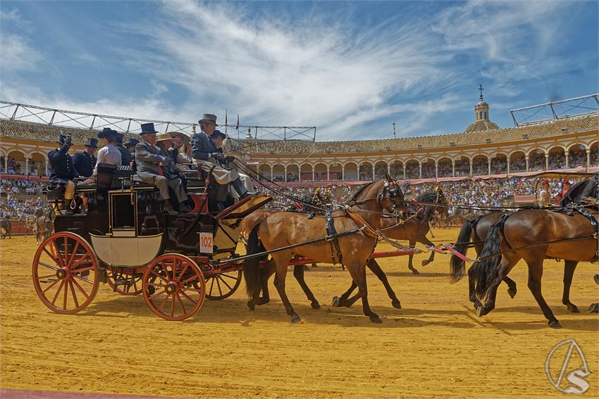fjmontiel_XL_Exhibicion_Enganches_Sevilla_2026_DSC_9523_DxO