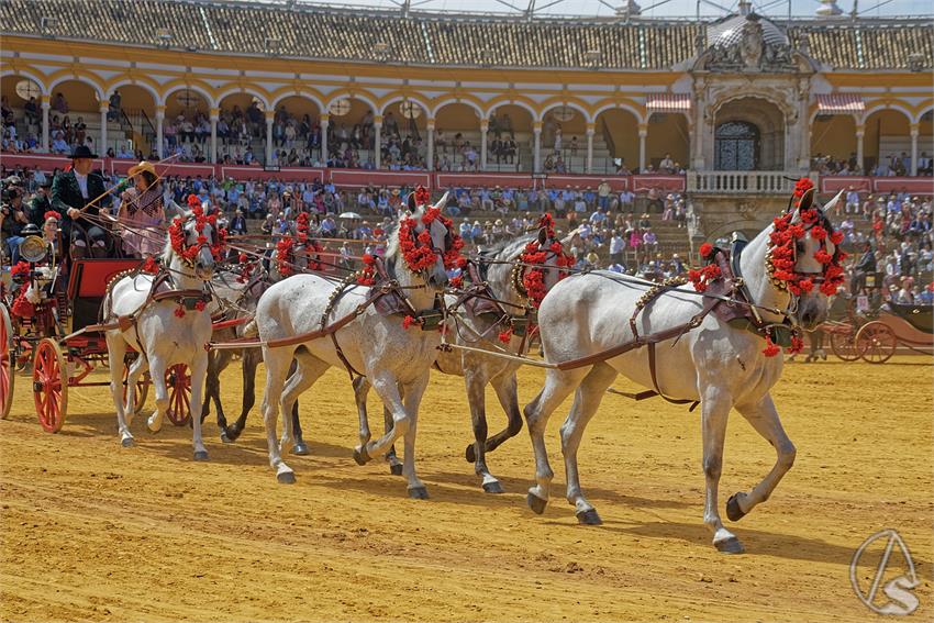 fjmontiel_XL_Exhibicion_Enganches_Sevilla_2026_DSC_9524_DxO