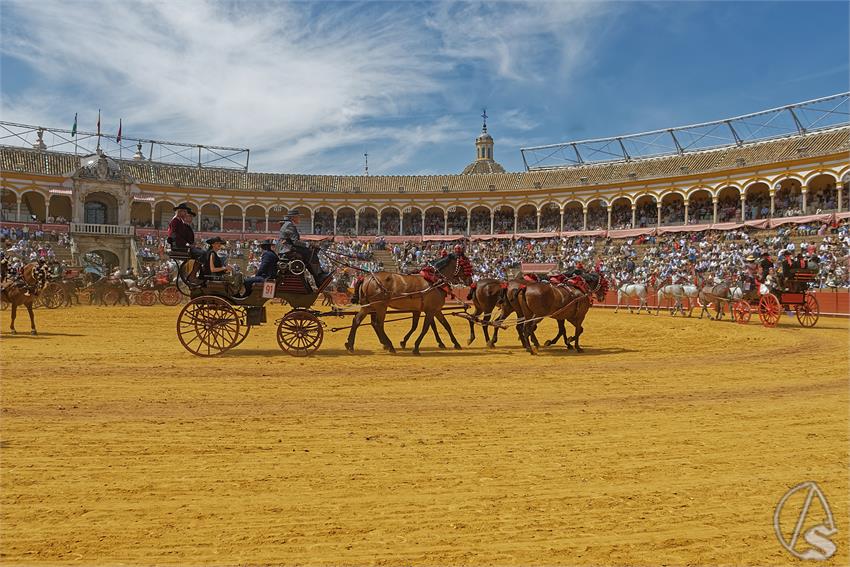 fjmontiel_XL_Exhibicion_Enganches_Sevilla_2026_DSC_9525_DxO