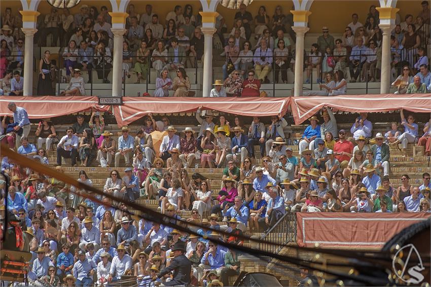 fjmontiel_XL_Exhibicion_Enganches_Sevilla_2026_DSC_9528_DxO