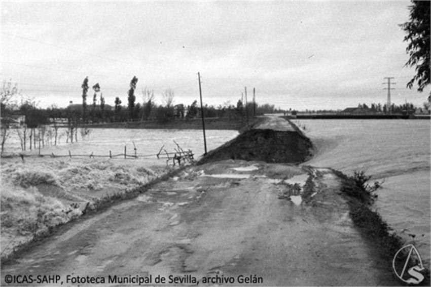 image007_2