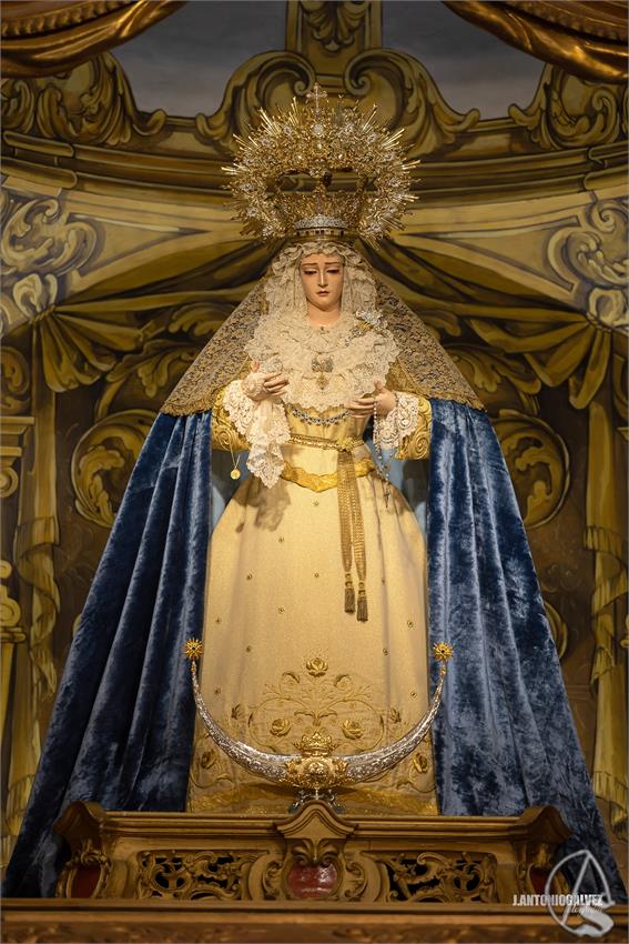 soledad_tocina_inmaculada_25_4