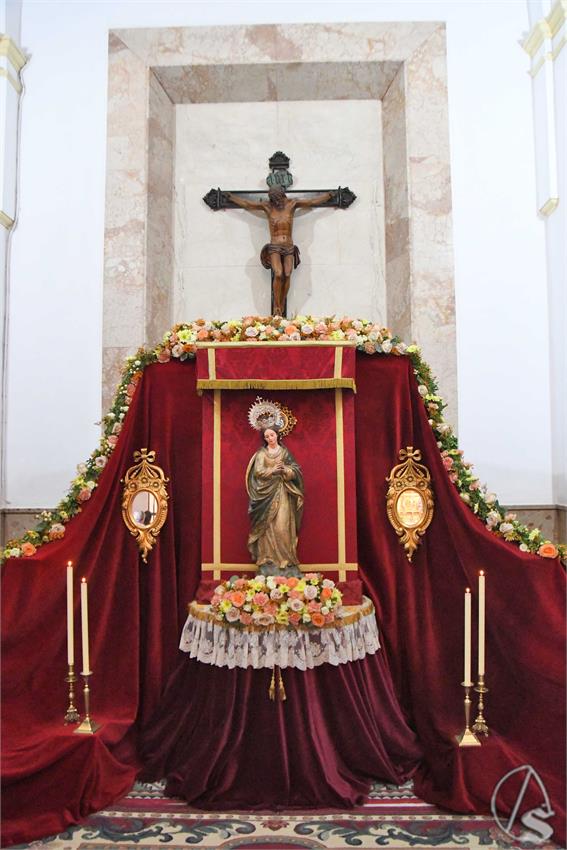 znalcollar_Luis_M_Fernandez_301124__4_.JPG